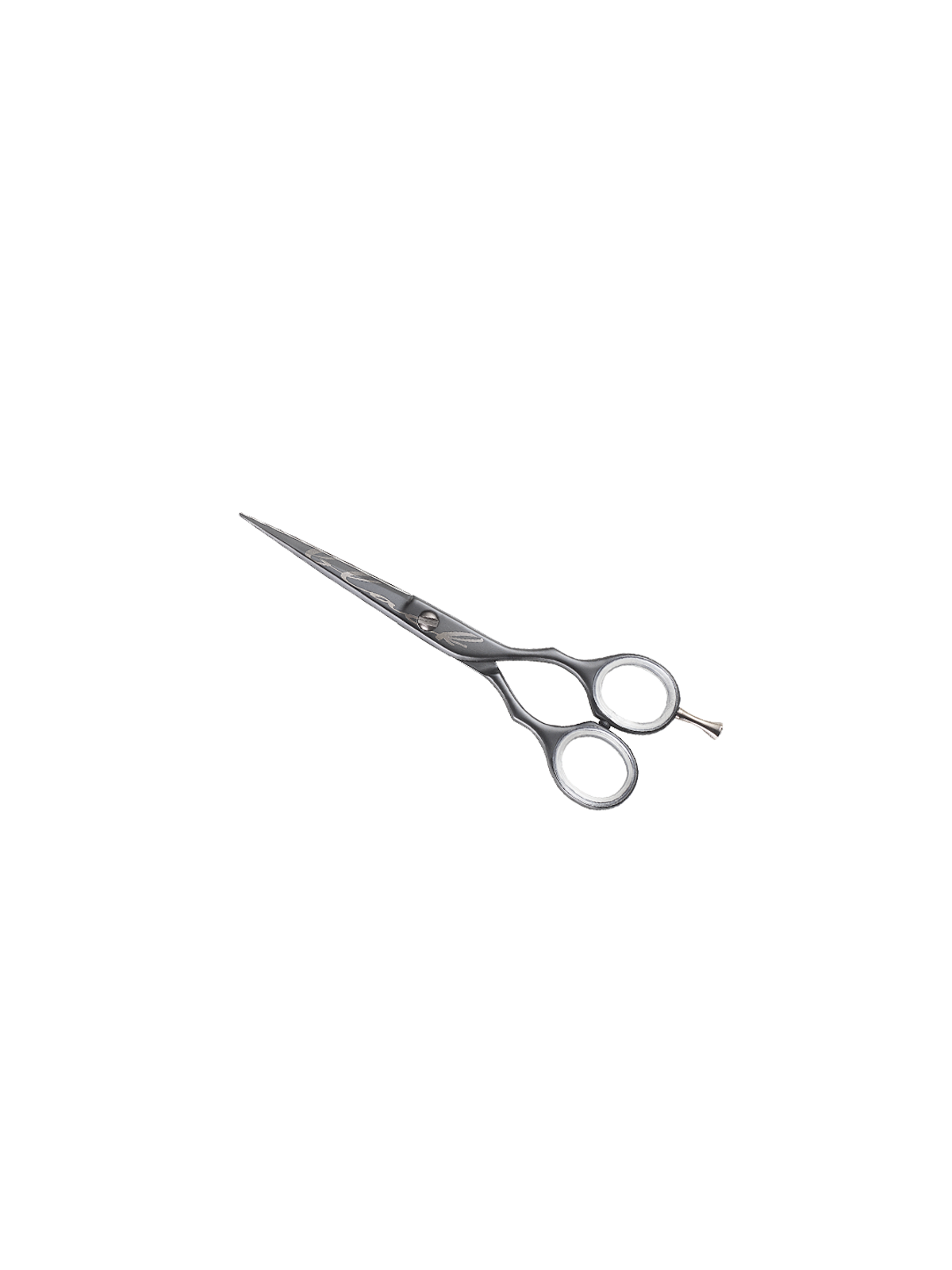 Kiepe 2450/6