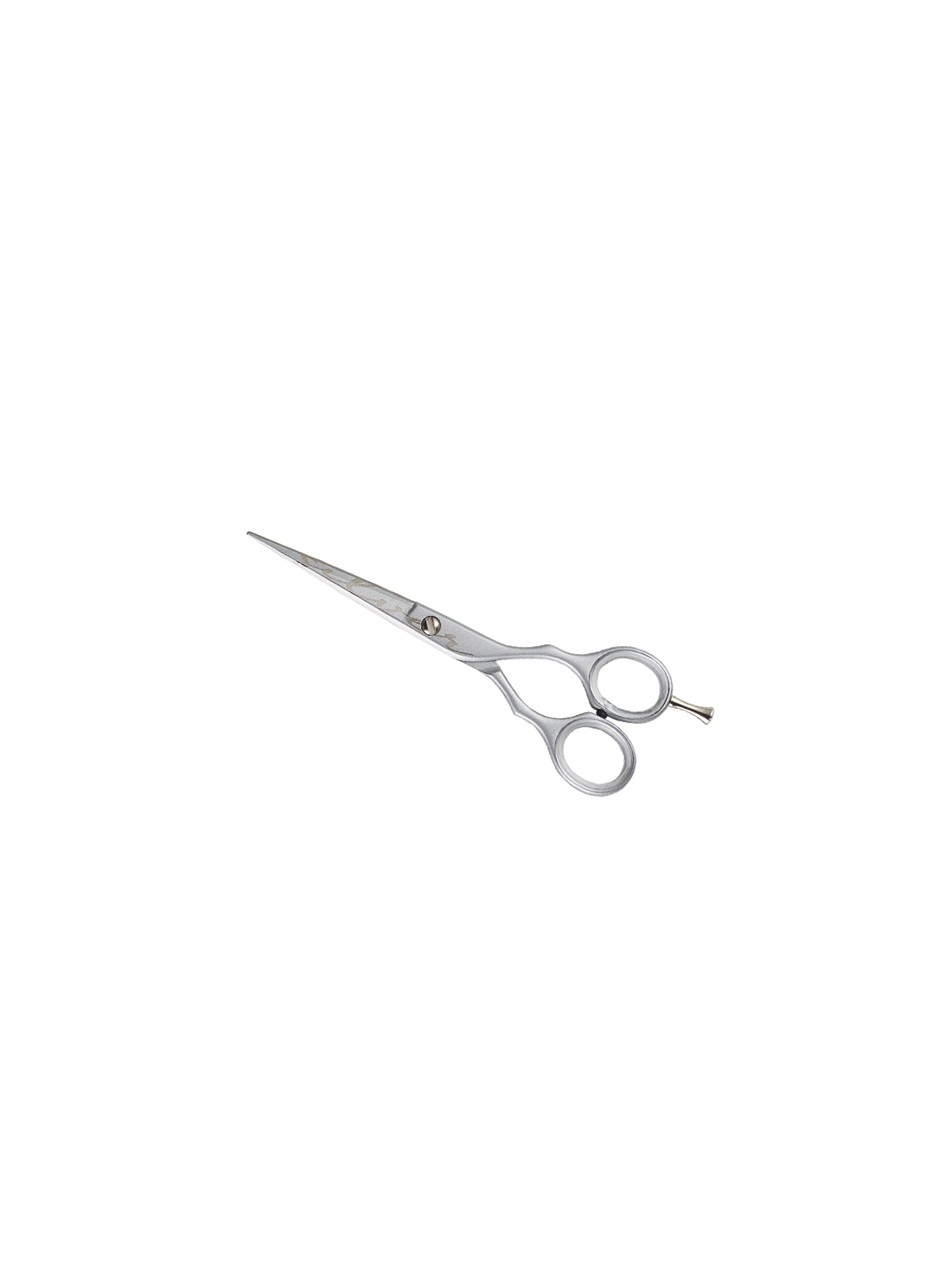 Kiepe 2452/6